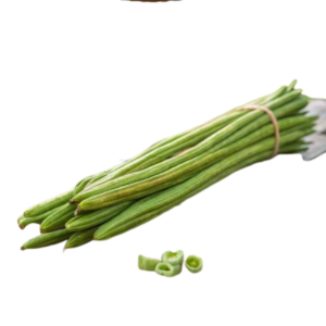 FRESH DRUMSTICK (MORINGA)